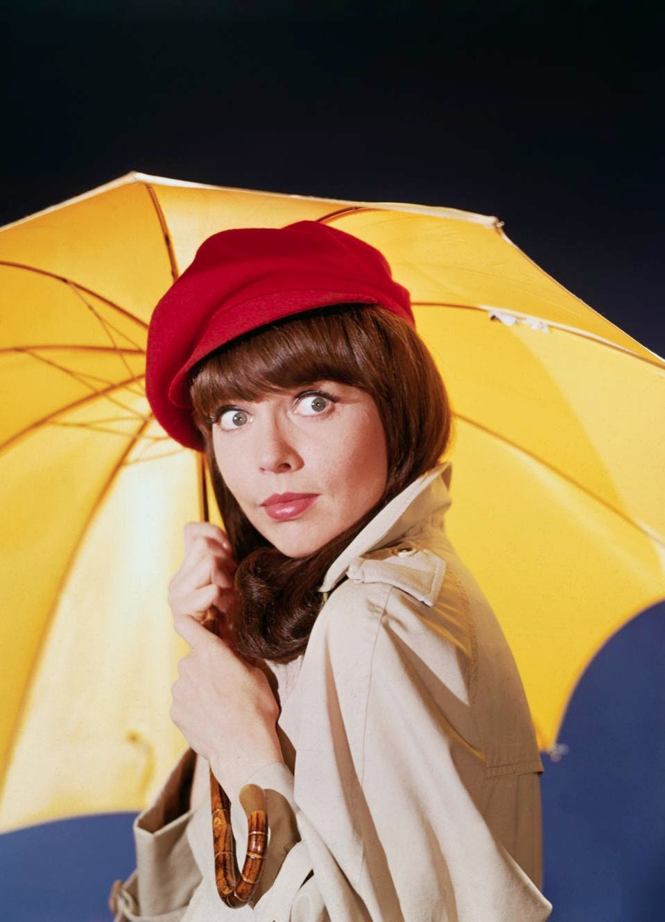 actress barbara feldon