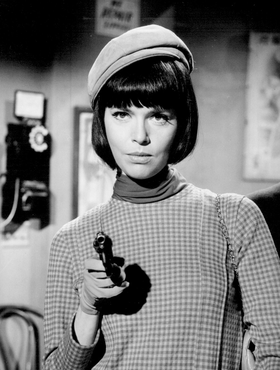 actress barbara feldon