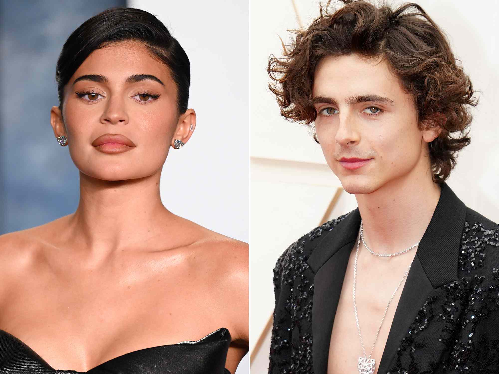 timothee chalamet kylie jenner engaged