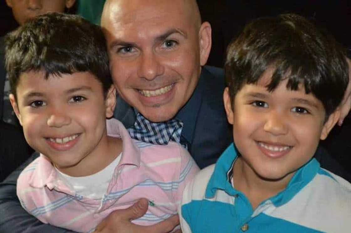 pitbull wife and family